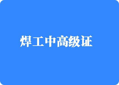 日韩大透逼焊工中高级证